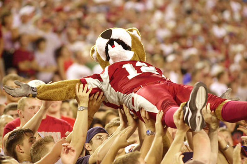 Butch Coug crowd surfs during a WSU football game.