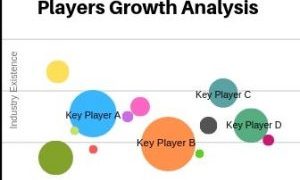 Procurement Outsourcing Market to Partake Significant Development During 2025 – TheFinanceTime