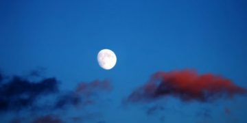 Supply chain radar: There’s a bad moon rising, it’s in the numbers