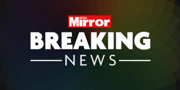 Eight migrants found hiding in cargo ship in Co Waterford deported