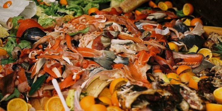 Despite recycling mandate, food waste-to-energy struggles to grow in Connecticut