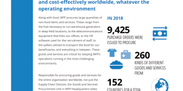 WFP Goods & Services Procurement Factsheet (November 2019) – World