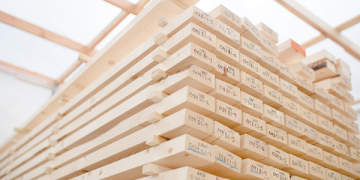 Is Mass Timber The Path To Sustainable Construction?