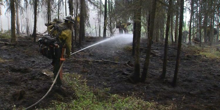 Alaska Borough to offer community emergency training – KTVA 11