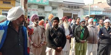 Cotton farmers divided over crop procurement