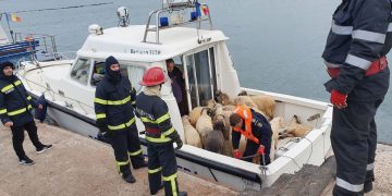 Cargo Ship With Almost 15,000 Sheep Overturns Near Romania