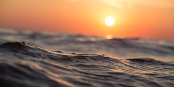 ‘Sneaky’ underwater robot spent 18 days recording sea creatures—and noisy humans