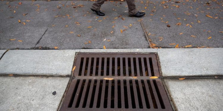 Porous paving project in Jefferson Parish’s Fat City not performing as advertised | Environment