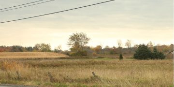 Graham: North Gower warehouse plan shows no one listens to the public