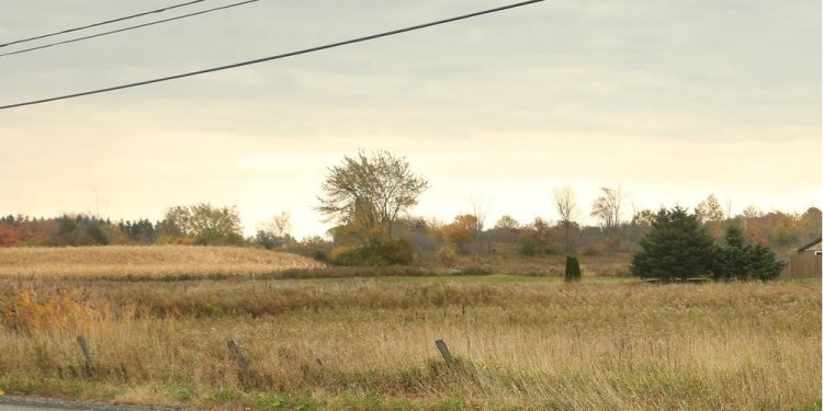 Graham: North Gower warehouse plan shows no one listens to the public