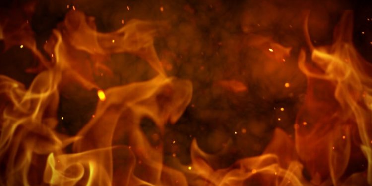 Firefighters battle hot spots at Georgia peanut warehouse – WLOS