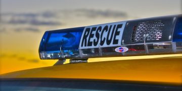 Cargo ship held off Isle of Wight after hitting whale