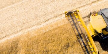 Agricultural Supply Chain Service Market Global Insights, Status and Outlook 2019 to 2024 – Market Research Sheets