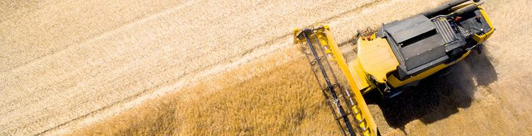 Agricultural Supply Chain Service Market Global Insights, Status and Outlook 2019 to 2024 – Market Research Sheets
