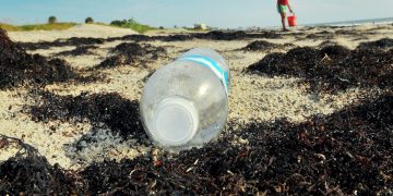 Surfrider gives Florida a ‘D’ for coastal management, for lack of planning