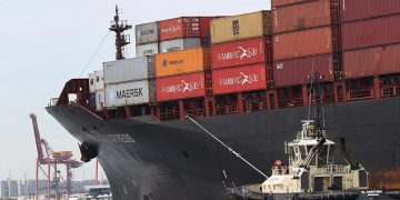 Cargo ship carrying thousands of cars refused entry due to ‘tiny but devastating’ brown stink bugs