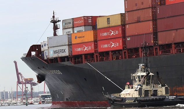 Cargo ship carrying thousands of cars refused entry due to ‘tiny but devastating’ brown stink bugs