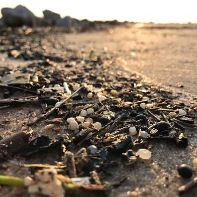 Nurdles along the shores of Galveston Bay in Texas, home to many petrochemical plants, which can inadvertently spill pellets. (Photo courtesy of Jace Tunnell)