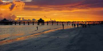 Florida law makes it illegal to ban plastic bags – News – Eagle News
