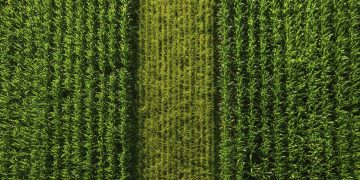 Rising to the challenges in the food industry | Supply Chain