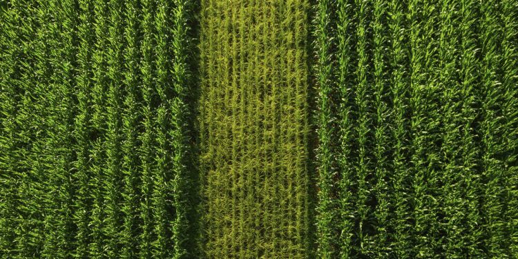 Rising to the challenges in the food industry | Supply Chain