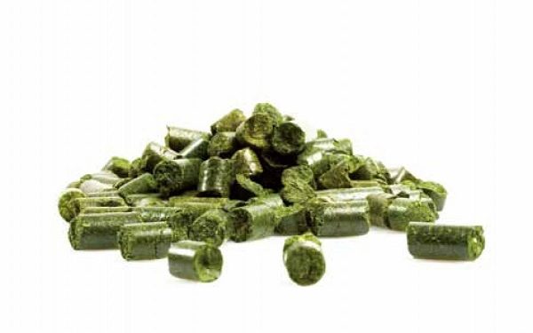 Global Aalfalfa Concentrate Market 2019: Raw Material Sales, Resource, Management And Recovery Factor 2024