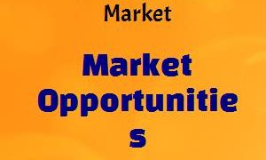 Global Hectorite Clays Market Quality Management 2019 – Elementis, Minerals Technologies, Kunimine Industries, The Kish, Zhejiang Fenghong New Material