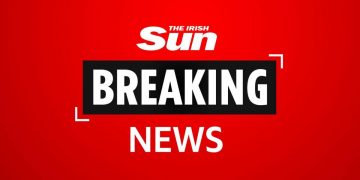 Eight migrants found on cargo ship in Waterford as gardai launch investigation