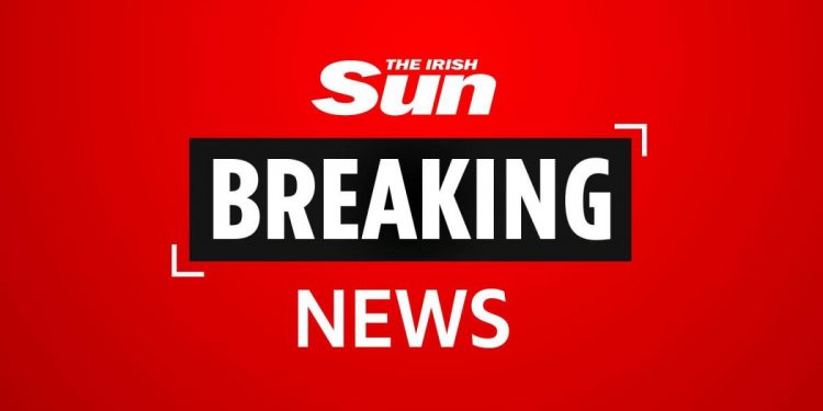 Eight migrants found on cargo ship in Waterford as gardai launch investigation