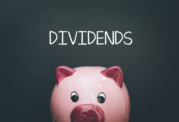 A piggy bank with the word dividends above it