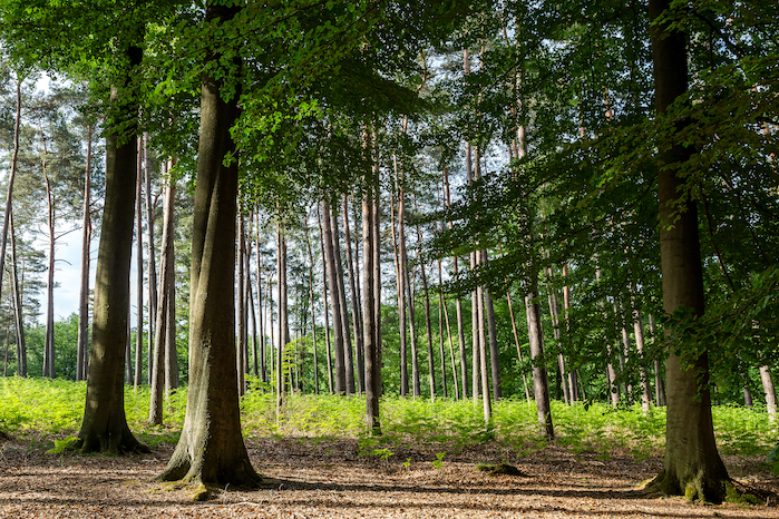 © Lenzing Group. © Lenzing Group.