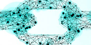 An Evolutionary Approach to Supply Chain Digitalization