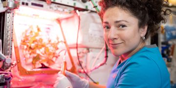 SpaceX cargo mission combines mighty mice, fires and beer research – Spaceflight Now