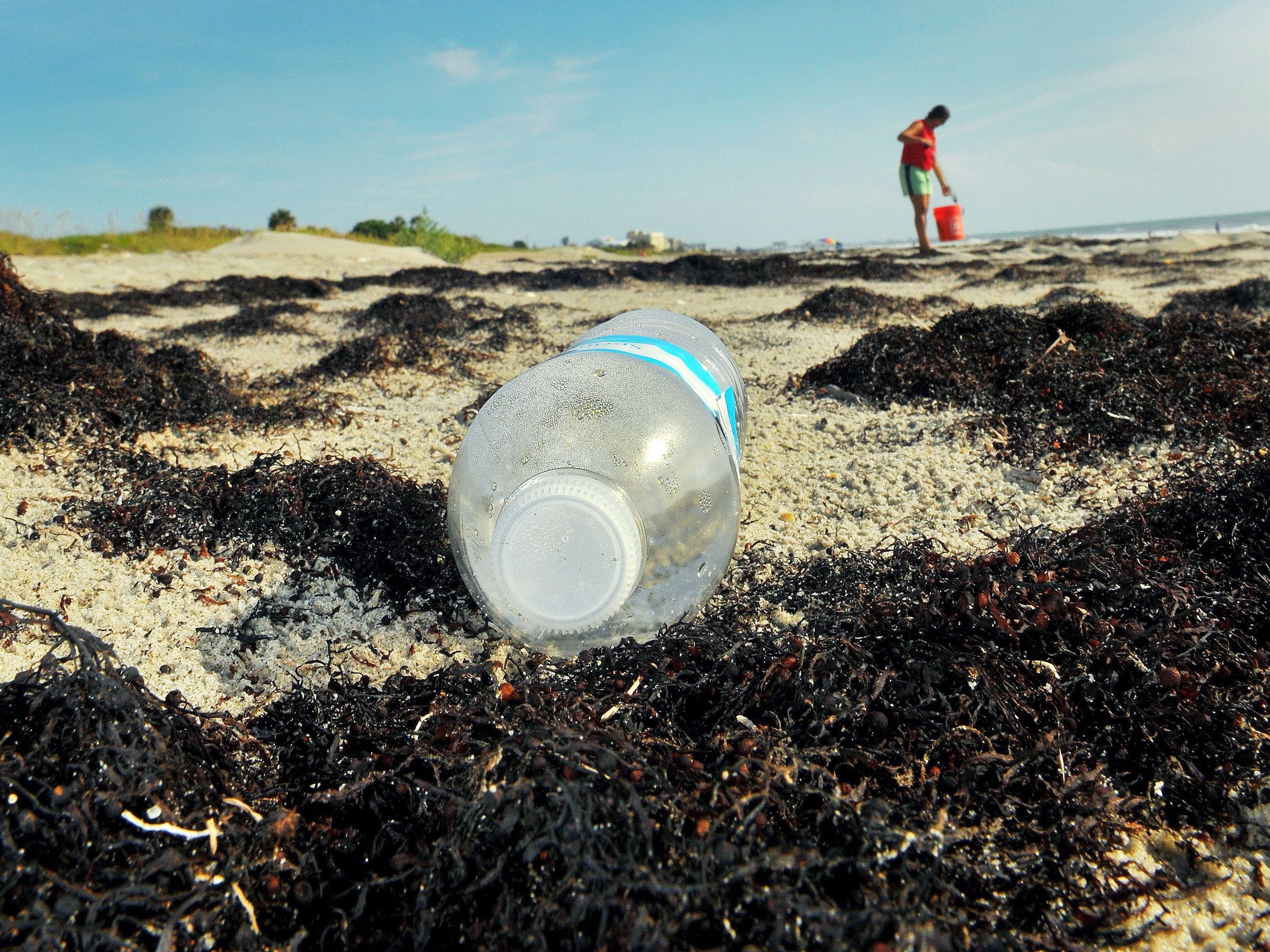 Members of the Surfrider Foundation say that instead of raking seaweed from beaches, the “wrack line” should be preserved and junk including bottles or cans removed.