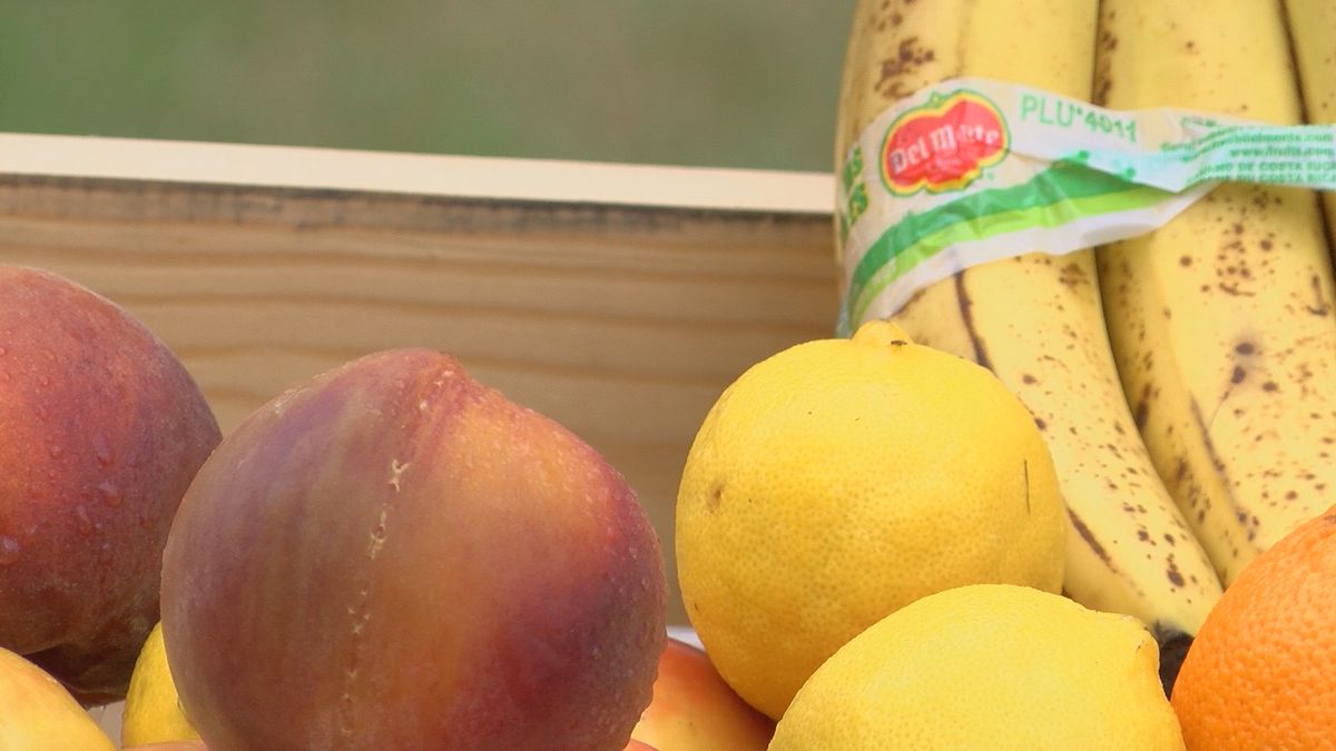 Mississippi will phase out warehouses for nutrition program – WLBT