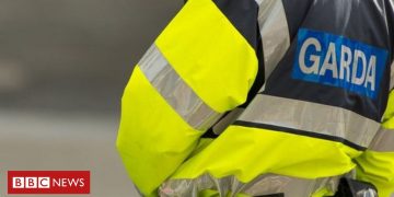 Eight migrants found hiding on cargo ship in Irish port