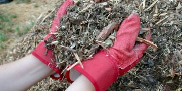 New toolkit provides guidance on composting food scraps at yard trimming sites