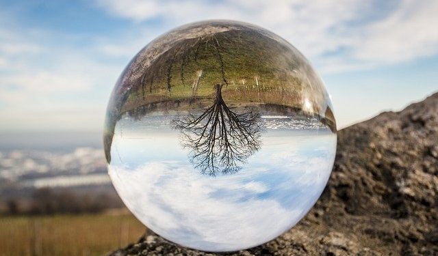The 2020 Procurement and Supply Chain Predictions from the Market – Ivalua