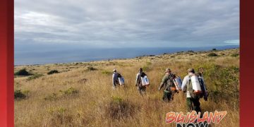 Bill Would Require Baggage, Cargo Inspections for Invasive Species