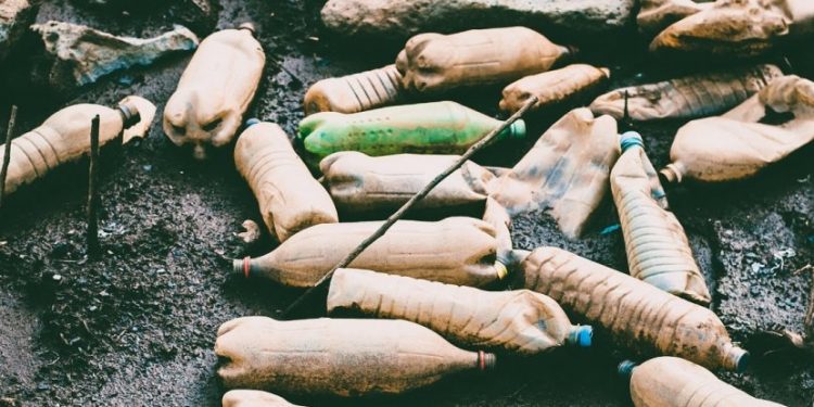 There’s a Genius, Sustainable Economic System We Could All Be Using. Here’s How