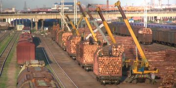 Eighty percent of New Zealand’s log exports are to China, but challenges from Europe and their salvage spruce logs is significant. The India trade remains difficult. Sawn timber markets struggle on
