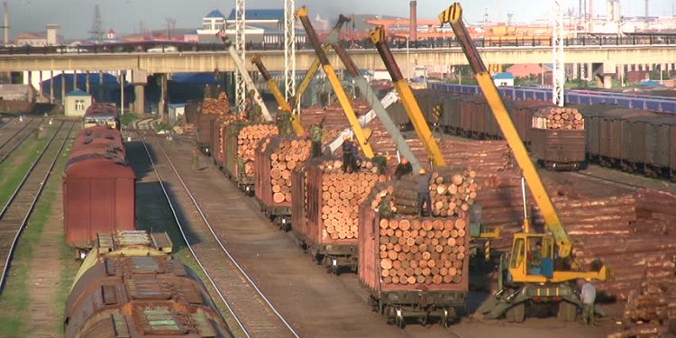 Eighty percent of New Zealand’s log exports are to China, but challenges from Europe and their salvage spruce logs is significant. The India trade remains difficult. Sawn timber markets struggle on