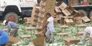 New Initiative Aims to Help Secure Workers’ Rights in Global Supply Chain
