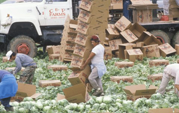 New Initiative Aims to Help Secure Workers’ Rights in Global Supply Chain