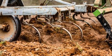 Organic Farming Practices Affect Soil Health Long-term