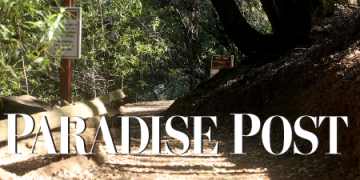 Cash flow management – Paradise Post