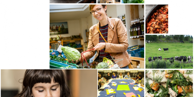 Discussion paper I Public procurement for sustainable food environments