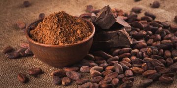 Cargill expanding processing and sustainability in cocoa supply chain