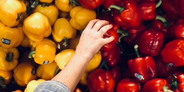 Food for thought: how the Farm to Fork Strategy can facilitate strategic public food procurement