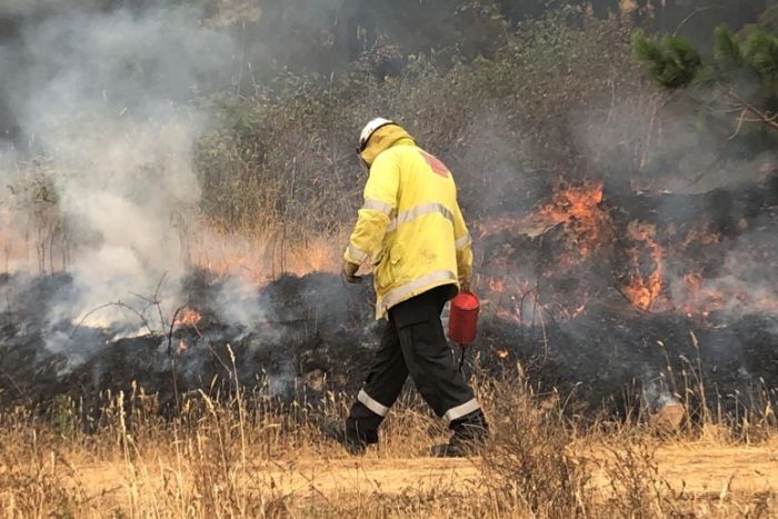 Firefighter burning containment lines An RFS firefighter lights a controlled burn on a containment line.